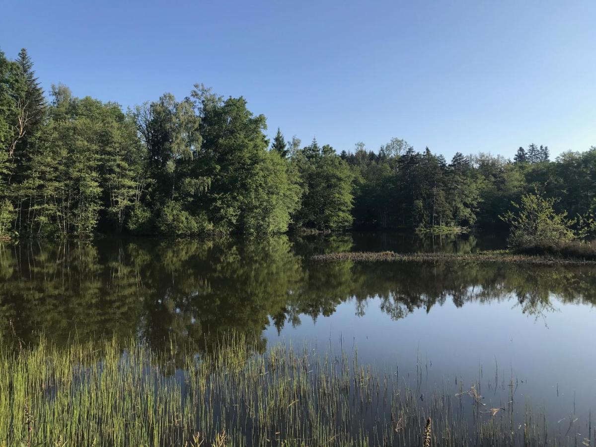 Gite Des Prary Des Mille Etangs Ternuay-Melay-et-Saint-Hilaire Exteriér fotografie