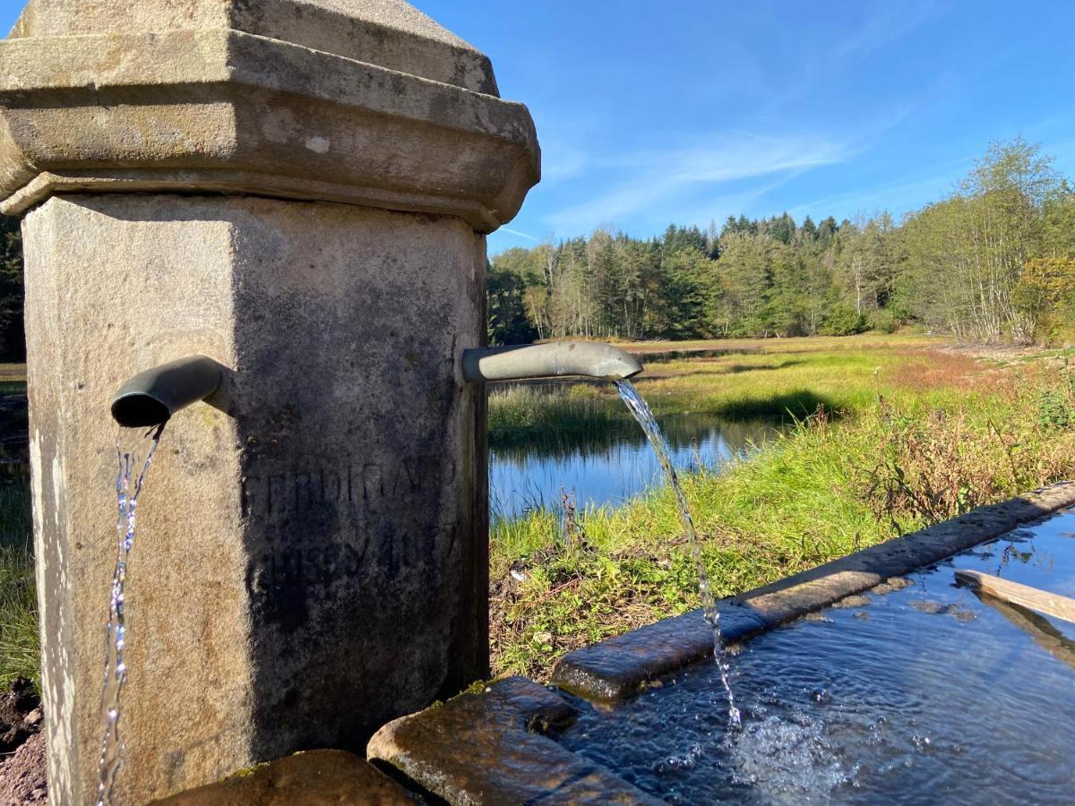 Gite Des Prary Des Mille Etangs Ternuay-Melay-et-Saint-Hilaire Exteriér fotografie